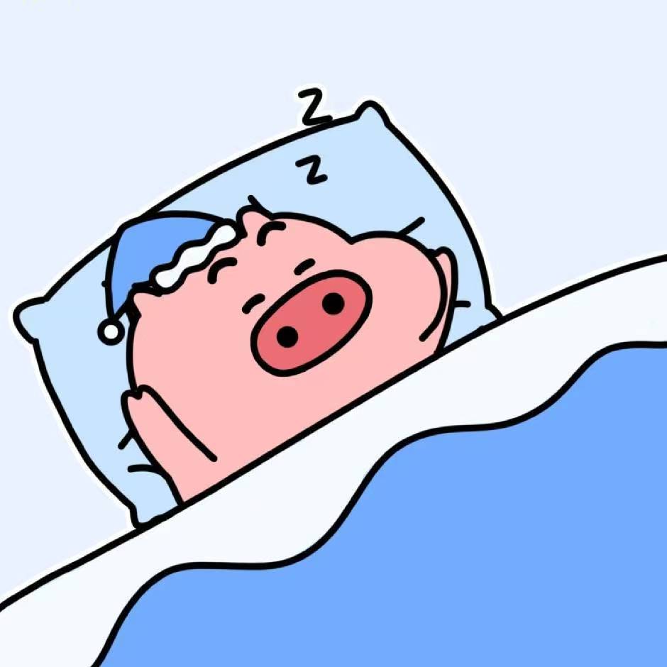 Bob 的头像