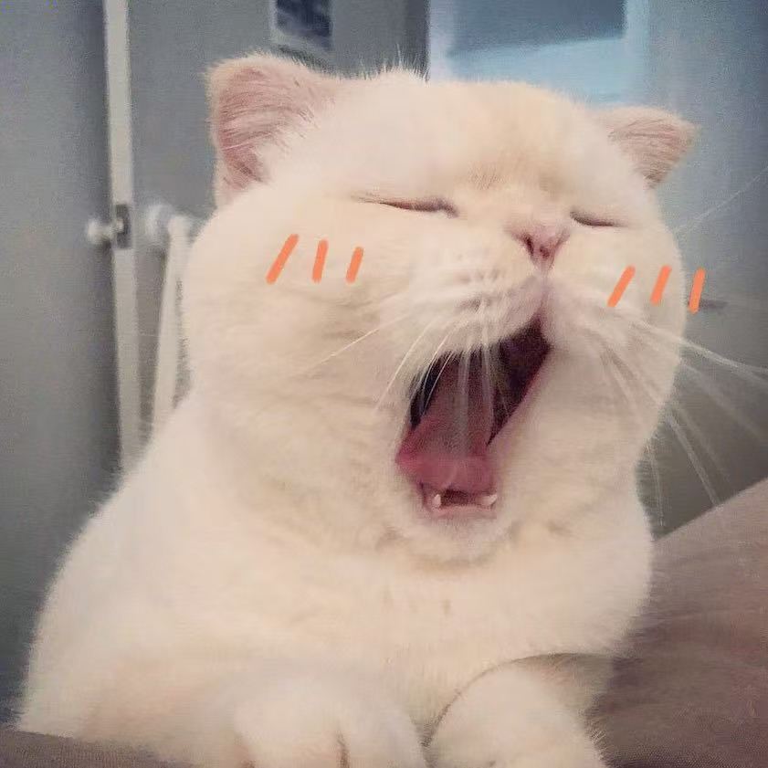 Maggie 的头像